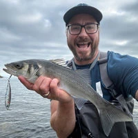 Westin Salty Lures